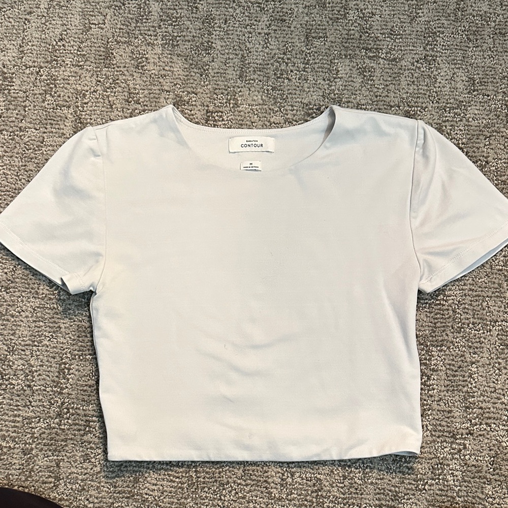 Aritzia Babaton contour t shirt.